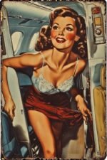 1950s airline flight attendant adult fantasy